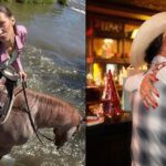 Bella Hadid8217in Ask ve Doga Sevgisi Rodeo ve Ciftlik Hayatiyla Yeniden Dogus