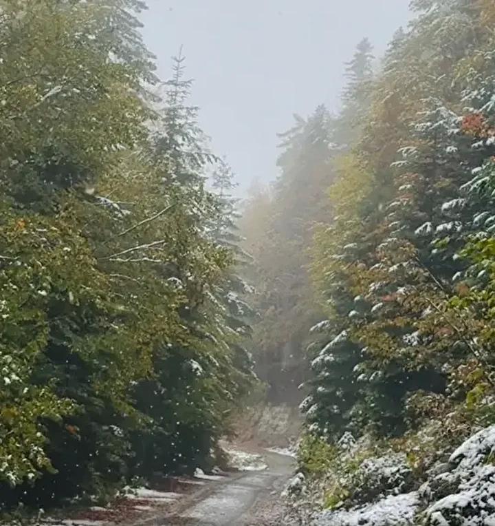 Bolu İlinde Yağışlar ve Kar Yağışıyla Gelen Manzara