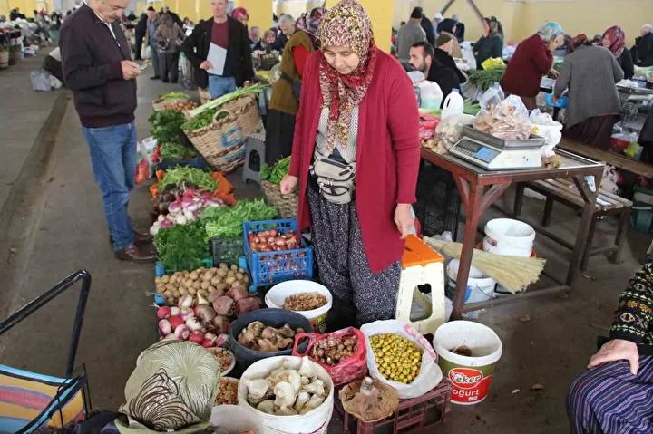 Mantar Toplama ve İlginin Artması