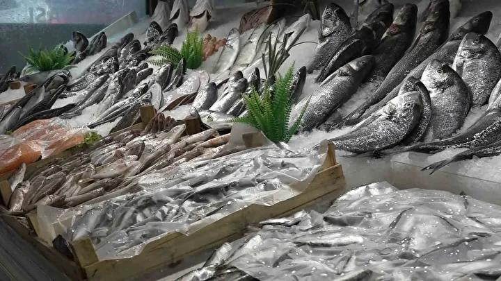 Bursa Balıkçısından Gazze’ye Destek: Gelirin Tamamı Yardıma Akacak