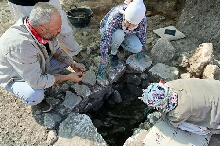 Yeni Bulguların Anlamı ve Bilimsel Katkısı