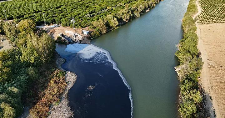 Ceyhan Nehri’nde Balık Ölümleri Şoku Devam Ediyor 3 Ceyhan Nehri’nde Balık Ölümleri Şoku Devam Ediyor