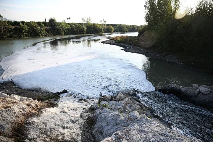 Ceyhan Nehri’nde Balık Ölümleri Şoku Devam Ediyor 4 Ceyhan Nehri’nde Balık Ölümleri Şoku Devam Ediyor