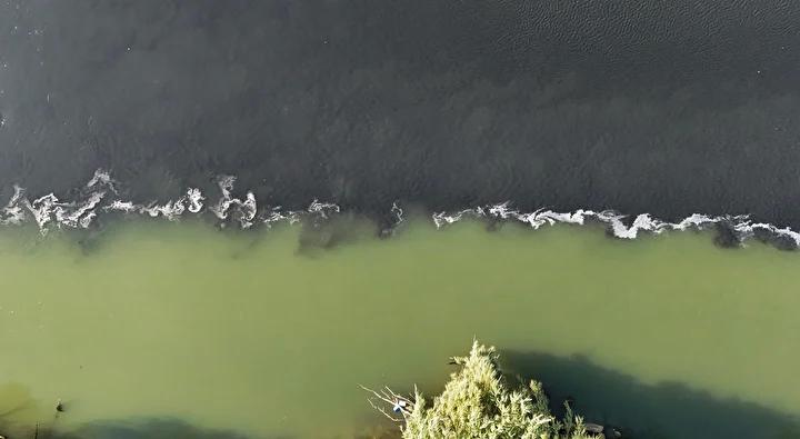 Ceyhan Nehri’nde Balık Ölümleri Şoku Devam Ediyor 6 Ceyhan Nehri’nde Balık Ölümleri Şoku Devam Ediyor