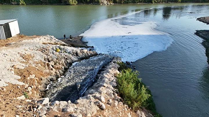 Ceyhan Nehri’nde Balık Ölümleri Şoku Devam Ediyor 7 Ceyhan Nehri’nde Balık Ölümleri Şoku Devam Ediyor