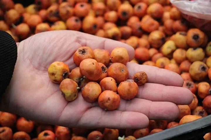 Dağlık Alanlarda Yetişen Alıç Meyvesi Pazarları Canlandırdı 1 Dağlık Alanlarda Yetişen Alıç Meyvesi Pazarları Canlandırdı