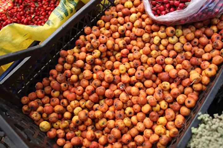 Dağlık Alanlarda Yetişen Alıç Meyvesi Pazarları Canlandırdı 3 Dağlık Alanlarda Yetişen Alıç Meyvesi Pazarları Canlandırdı