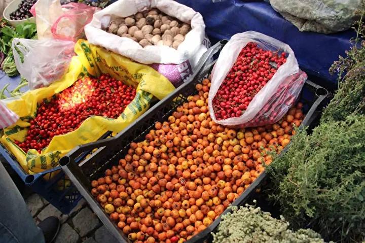 Dağlık Alanlarda Yetişen Alıç Meyvesi Pazarları Canlandırdı 5 Dağlık Alanlarda Yetişen Alıç Meyvesi Pazarları Canlandırdı