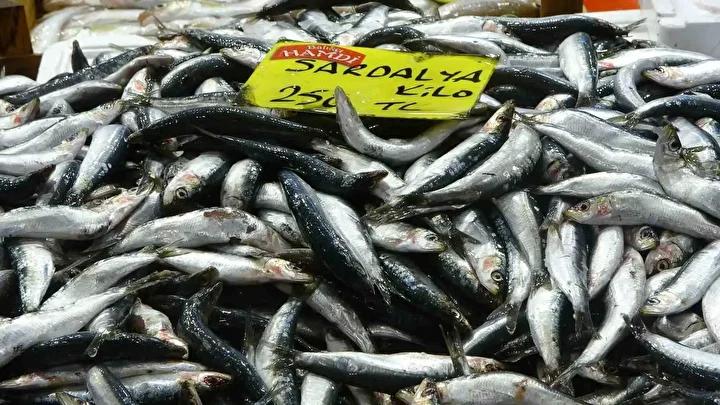 Denizlerin Durumu ve Balık Fiyatlarındaki Hızlı Değişim
