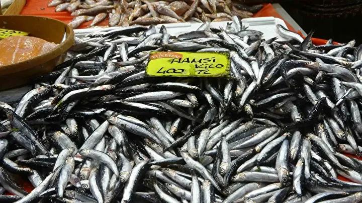 Denizlerin Durumu ve Balık Fiyatlarındaki Hızlı Değişim