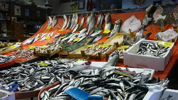 Denizlerin Durumu ve Balık Fiyatlarındaki Hızlı Değişim