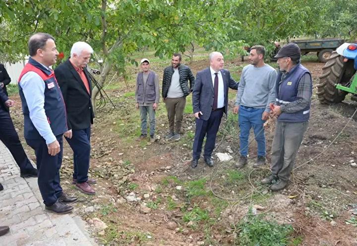Denizli’de Ceviz Hasadı Başladı: Yemyeşil Bahçelerin Bereketi Toplanıyor 5 Denizli’de Ceviz Hasadı Başladı: Yemyeşil Bahçelerin Bereketi Toplanıyor