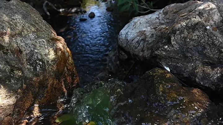 Mahalle Halkından Sevindiren Yeniden Canlanan Su Kaynağı