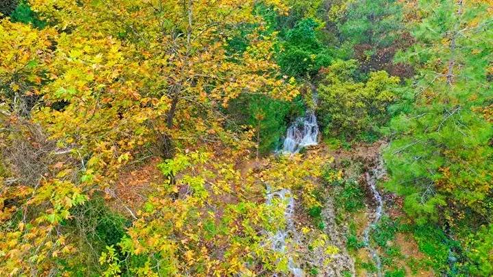 Deprem Sonrası Sürdürülebilirlik Takviyesi: Emendere Mahallesi'nde Yeniden Doğan Su Kaynağı