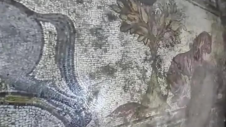 Derik'te Tarihi Eser Operasyonu: 1500 Yıllık Geç Roma Dönemi Tabana Mozaiği Ele Geçirildi