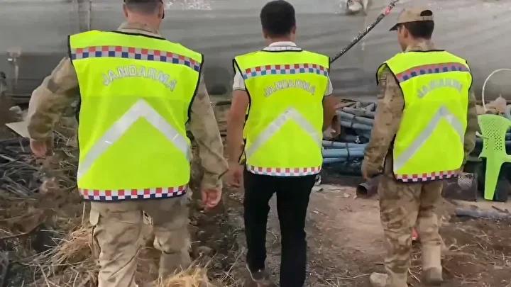Derik'te Tarihi Eser Operasyonu: 1500 Yıllık Geç Roma Dönemi Tabana Mozaiği Ele Geçirildi
