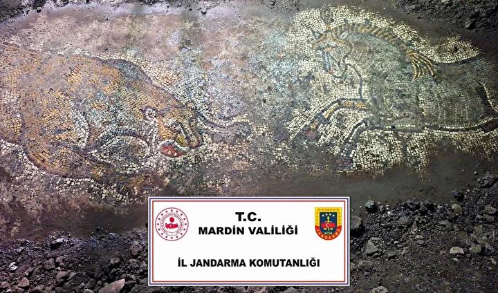 Derik'te Tarihi Eser Operasyonu: 1500 Yıllık Geç Roma Dönemi Tabana Mozaiği Ele Geçirildi