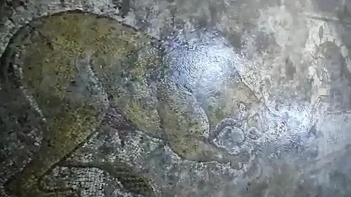 Derik'te Tarihi Eser Operasyonu: 1500 Yıllık Geç Roma Dönemi Tabana Mozaiği Ele Geçirildi