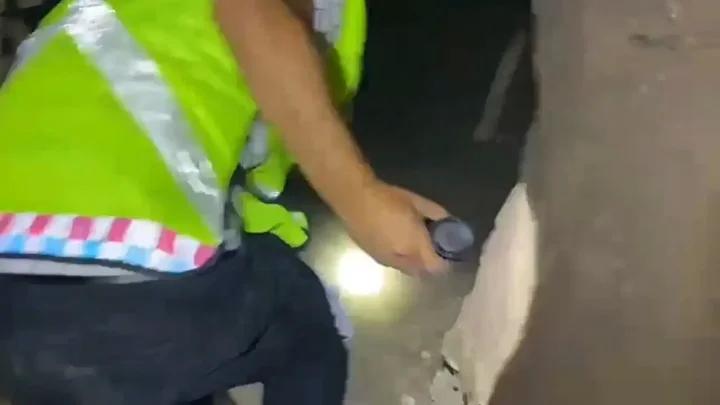 Derik'te Tarihi Eser Operasyonu: 1500 Yıllık Geç Roma Dönemi Tabana Mozaiği Ele Geçirildi