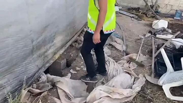 Derik'te Tarihi Eser Operasyonu: 1500 Yıllık Geç Roma Dönemi Tabana Mozaiği Ele Geçirildi