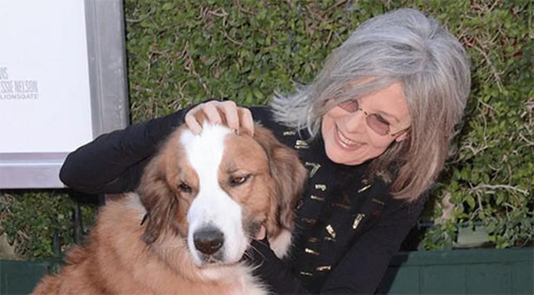 Diane Keaton'un Son Vasiyetiyle Görenleri Duygulandıran Vefatı ve Miras Planı