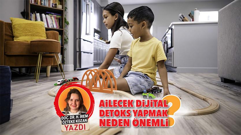 Uzman Görüşü ve Uygulama Yöntemleri