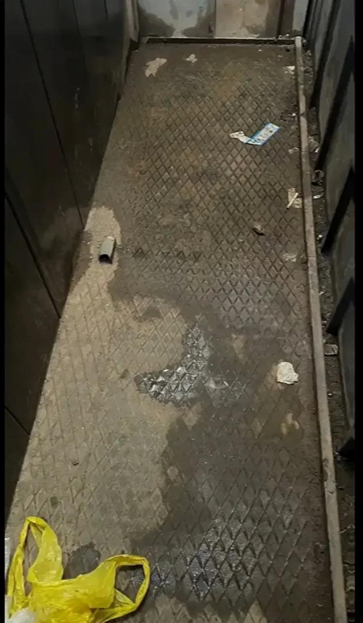 Diyarbakır'da Kaçak Göçmen Operasyonu ve Güvenlik Önlemleri