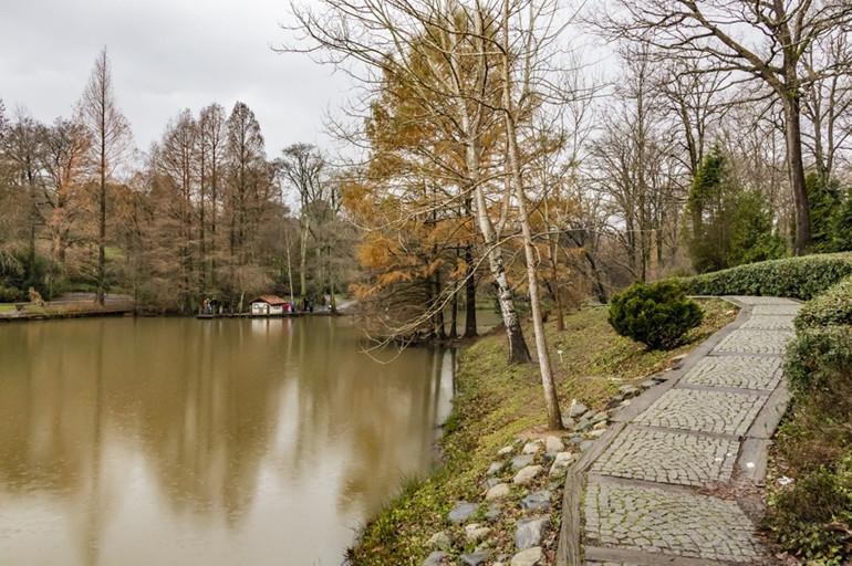 Doğanın Göz kamaştıran Bir Kıyısında: Atatürk Arboretumu Rehberi