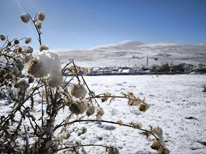 Doğu Anadolu'da Son Hava Durumu ve Sıcaklık Verileri Güncellendi