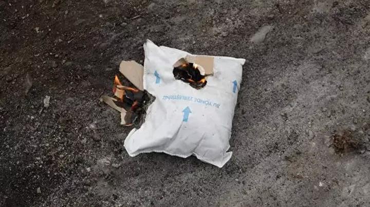 Doğu Karadeniz’i Vuran Kahverengi Kokarca Salgını ve Mücadele Çabaları