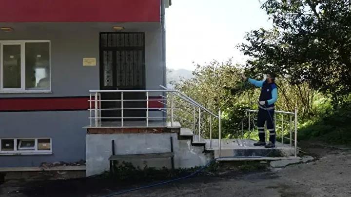 Doğu Karadeniz’i Vuran Kahverengi Kokarca Salgını ve Mücadele Çabaları