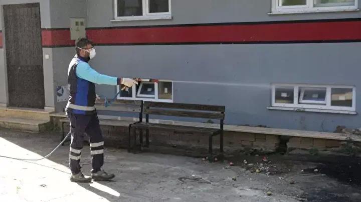 Doğu Karadeniz’i Vuran Kahverengi Kokarca Salgını ve Mücadele Çabaları