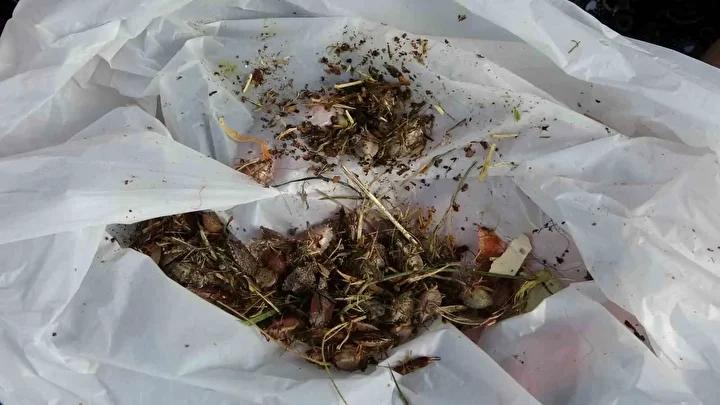 Ekonomik ve Sağlık Üzerindeki Etkiler