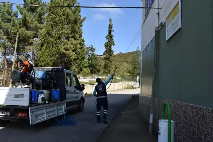 Doğu Karadeniz’i Vuran Kahverengi Kokarca Salgını ve Mücadele Çabaları