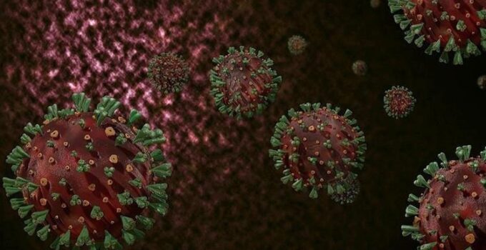 Dünya Sağlık Örgütü’nden M Çiçeği Virüsü Uyarısı ve Güncel Durum Raporu