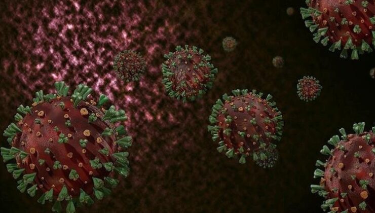 Dünya Sağlık Örgütü’nden M Çiçeği Virüsü Uyarısı ve Güncel Durum Raporu