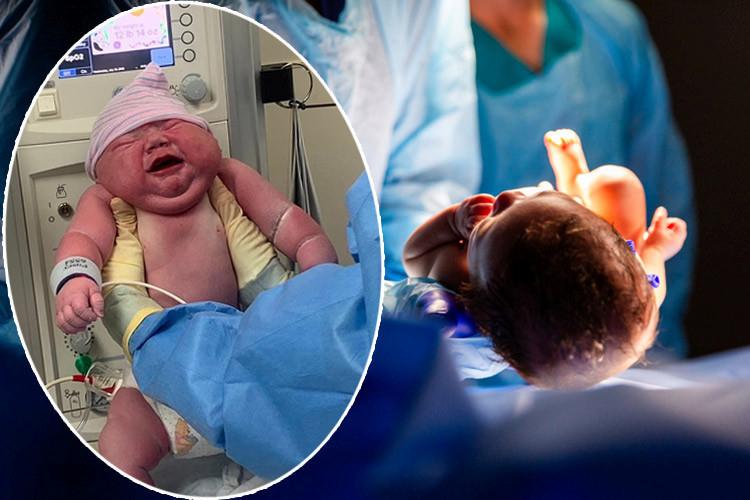 Dünyanın En Büyük Bebekleri: Shelby’nin ve Diğerlerinin Hikayeleri