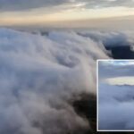 Durtmen Dagi8217nin Buyuleyici Sisli Manzarasi ve Doga Harikalari