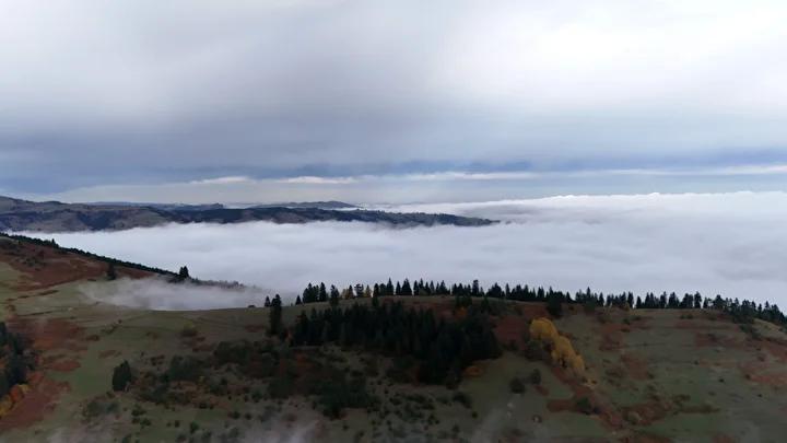 Dürtmen Dağı'nın Gizemli Sisleri ve Doğal Güzelliği
