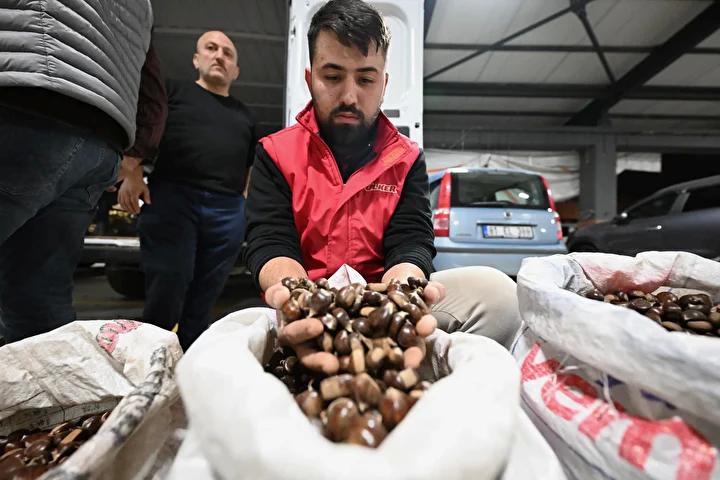 Düzce'nin Lezzetli Kestaneleri Hamidiye Pazarı'nda İlgi Odağı Oldu