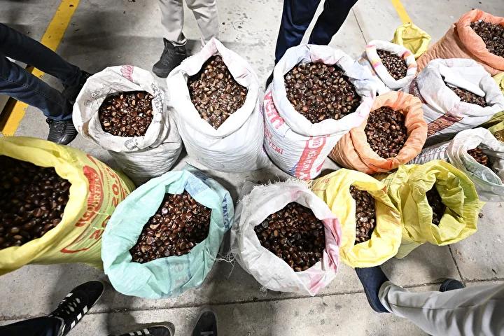 Düzce'nin Lezzetli Kestaneleri Hamidiye Pazarı'nda İlgi Odağı Oldu