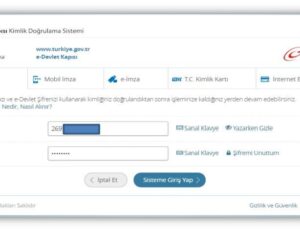 E-Devlet Üzerinden Aile Durum Bildirimi Yapma Rehberi
