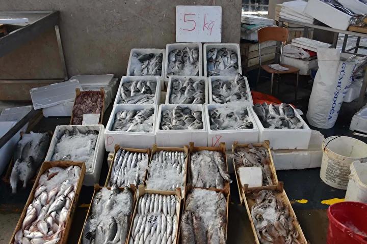 Ege Balık Sezonunda Yoğun Talep ve Piyasa Hareketliliği