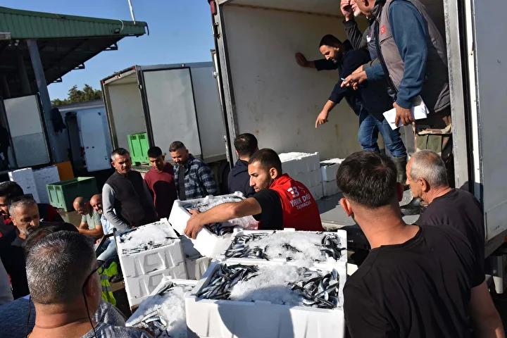 Ege Balık Sezonunda Yoğun Talep ve Piyasa Hareketliliği