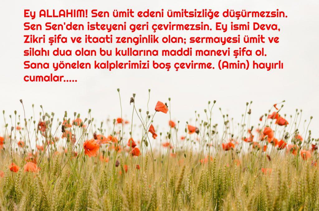 En Güzel ve Anlamlı Cuma Mesajları ve Sözleri 2025