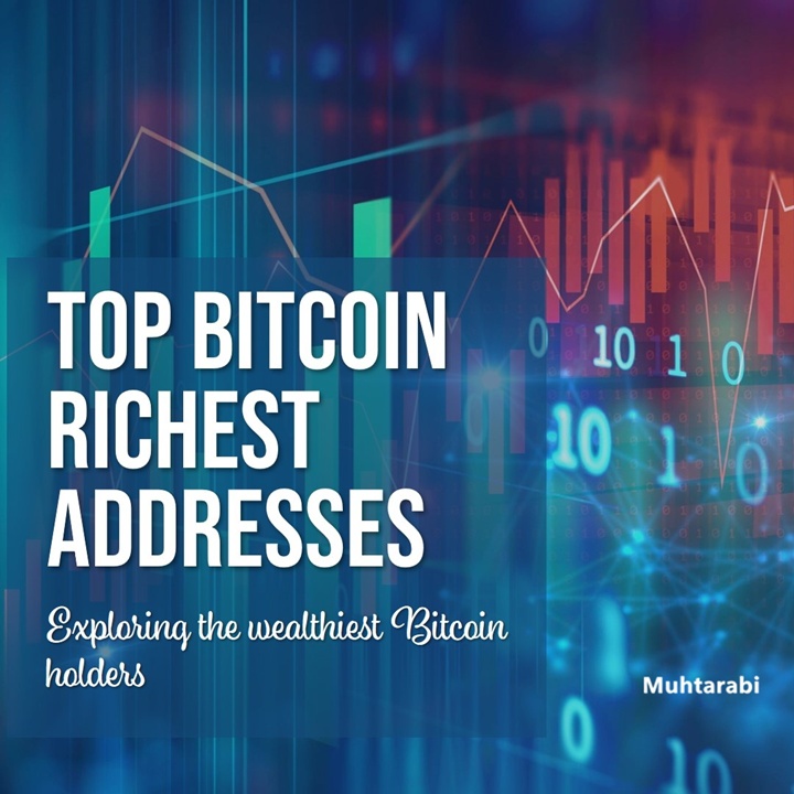 En Zengin Bitcoin Adresleri: İlk 100 Cüzdan