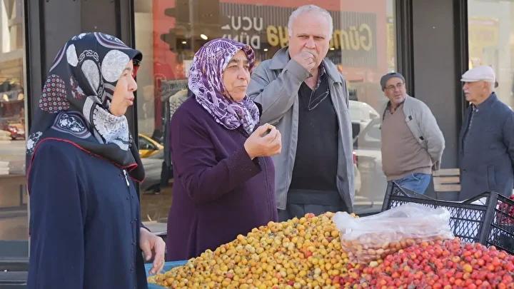 Erzincan'da Kızılcık Hasadı ve Sağlık Faydalarıyla Tanınıyor