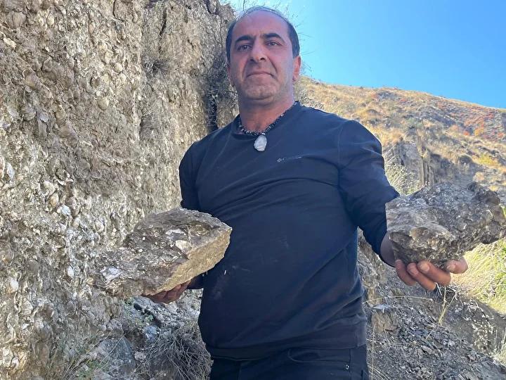 Deniz Canlılarına Ait Fosiller ve Özellikleri
