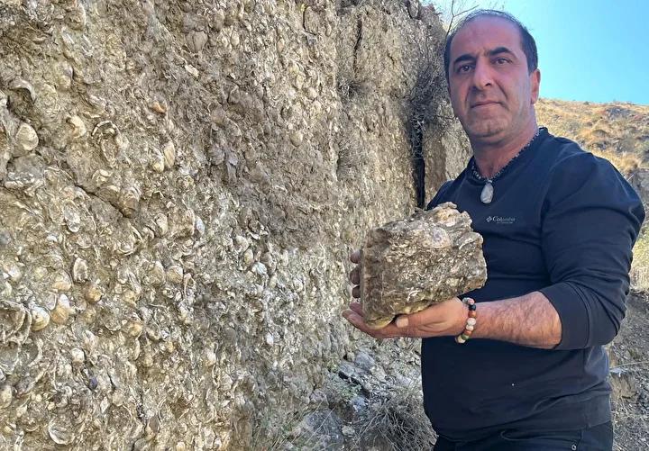 Erzurum'da 200 Milyon Yıllık Fosil Keşifleri ve Müze Çalışmaları