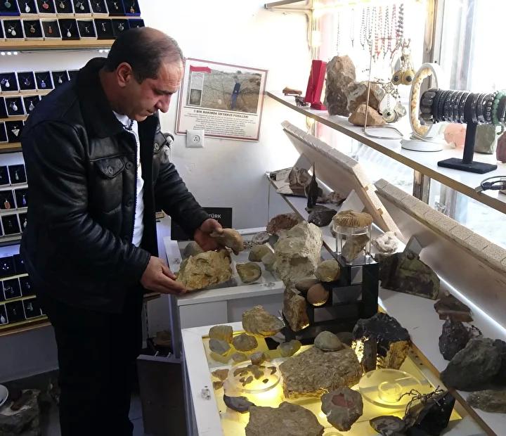 Erzurum'da 200 Milyon Yıllık Fosil Keşifleri ve Müze Çalışmaları